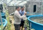 Bhabinkamtibmas-Apresiasi-Budidaya-Ikan-Lele-di-Lahan-Rumah-Warga-Sedati-Gede