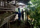 Kolaborasi-Polisi-dan-Warga-Optimalkan-Perawatan-Kambing-Dukung-Ketahanan-Pangan