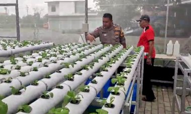 Sambang-desa,-Bhabinkamtibmas-Kletek-Aiptu-Eko-Suyanto-Cek-Tamanan-Horticultura-di-Green-House,-Dukung-Ketahanan-Pangan