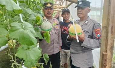 Bhabinkamtibmas-Desa-Kraton-Tinjau-Lahan-Hidroponik-Melon-untuk-Ketahanan-Pangan-Bergizi
