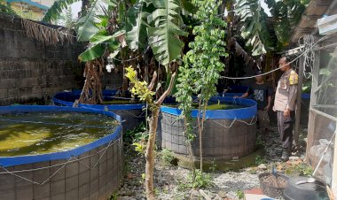 Bhabinkamtibmas-Desa-Wadungasri-Cek-Budidaya-Ikan-Lele
