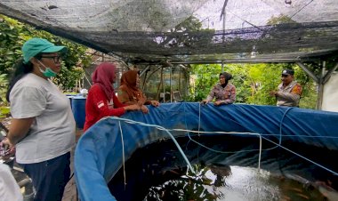 Bhabinkamtibmas-Desa-Kepuh-Kiriman-Cek-Pemanfaatan-Fasum-untuk-Budidaya-Gurami