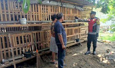 Bhabinkamtibmas-Desa-Singkalan-Balongbendo-Pantau-Peternakan-Ayam-Guna-Dukung-Swasembada-Pangan-Mandiri