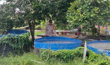 Polisi-Dampingi-Program-Ketahanan-Pangan-Berupa-Kolam-Lele-Desa-Gelam-Candi