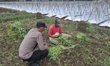 Polsek-Wonoayu-Dampingi-Warga-Sumberejo-Budidaya-Kangkung-di-Lahan-Kosong