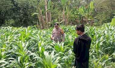 Polsek-Tarik-Gandeng-Ponpes-Gencarkan-Program-Ketahanan-Pangan