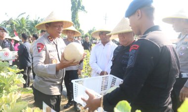 Brimob-Polda-Jatim-Panen-Melon-dan-Semangka,-Dukung-Program-Ketahanan-Pangan-Nasional