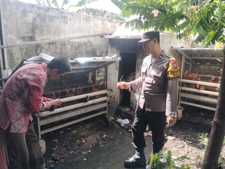 Bhabinkamtibmas Tenggulunan Cek Motivasi Warga Ternak Ayam Petelur