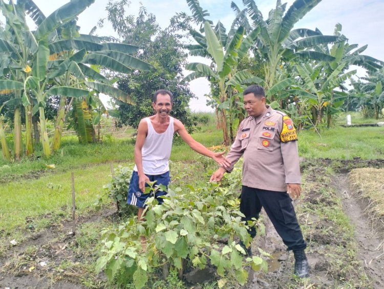 Dukung Ketahanan Pangan Di Jiken, Tulangan dengan Tanaman Sayur
