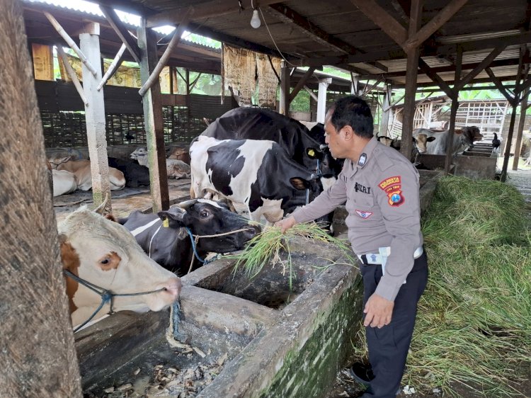 Bhabinkamtibmas Desa Becirongengor Cek Lahan Pekarangan Pangan Bergizi untuk Ternak Sapi