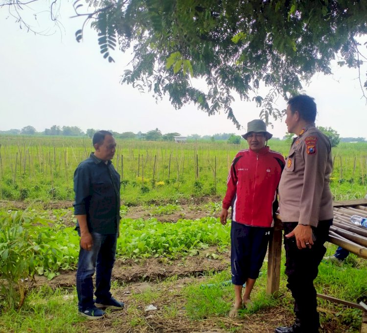 Kapolsek Prambon Silaturahmi dengan Warga Desa Jatikalang Terkait Pengelolaan Pekarangan Bergizi