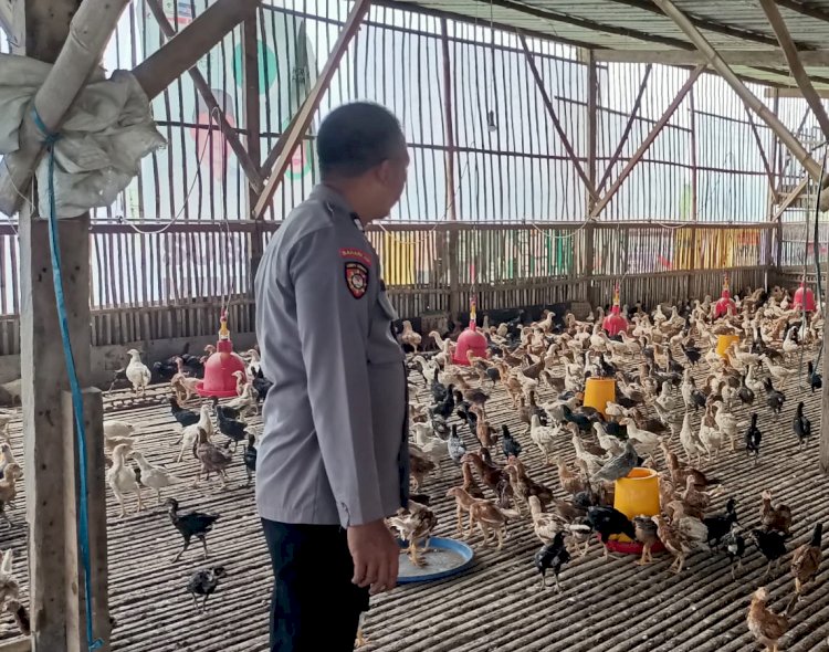 Bhabinkamtibmas Desa Mulyodadi Dukung Ketahanan Pangan Lewat Tinjauan Peternakan Warga