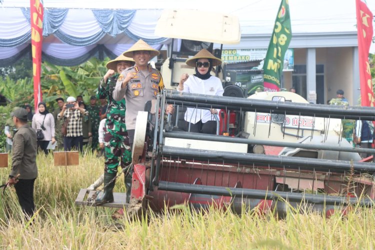 Forkopimda Sidoarjo Ikuti Panen Raya Serentak di Sawah Padi Desa Kemuning Tarik