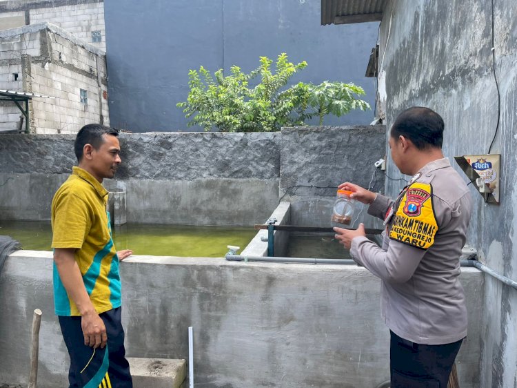 Budidaya Ikan Lele, Langkah Nyata Wujudkan Swasembada Pangan di Desa Wadungasri