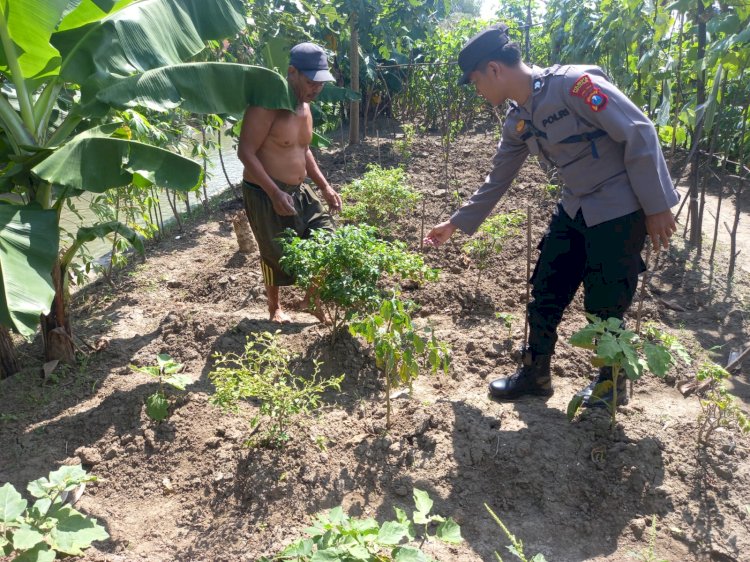 POLRESTA SIDOARJO  | Bhabinkamtibmas Polsek Krembung Berikan Motivasi Warga Olah Lahan Produktif untuk Ketahanan Pangan