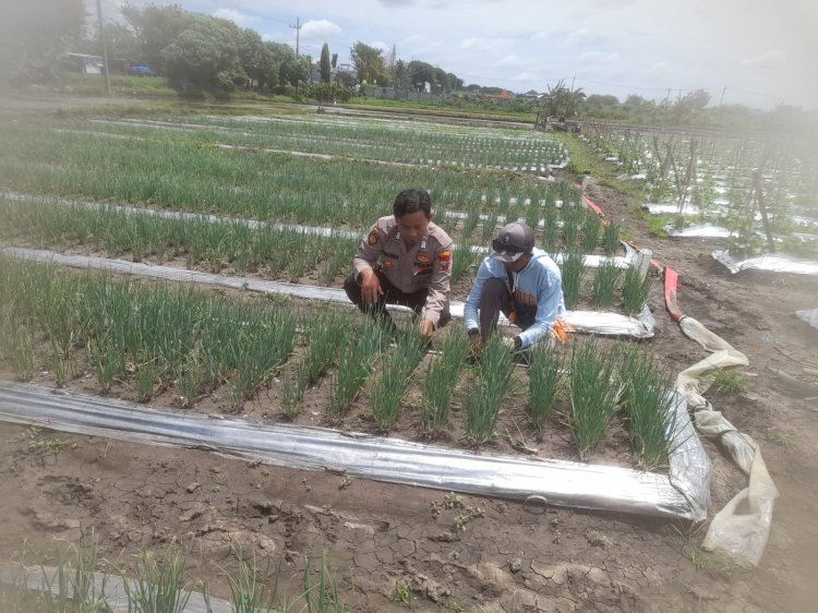 Bhabinkamtibmas Desa Bulang Polsek Prambon bersama Warga Kompak Jalankan Program Asta Cita Ketahanan Pangan
