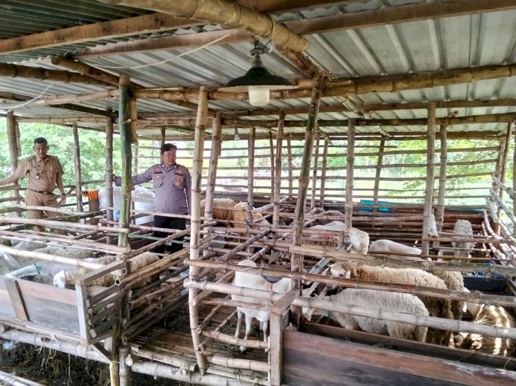 Kanit Binmas Polsek Prambon Tinjau Peternakan Kambing Dukung Program Ketahanan Pangan