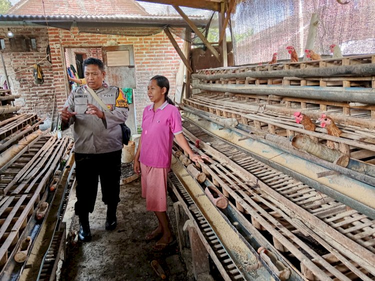 Bhabinkamtibmas Desa Lajuk Dukung Warga Tingkatkan Produksi Ayam Petelur untuk Ketahanan Pangan