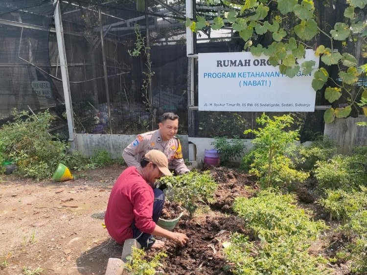 Polisi Apresiasi Rumah Organik Warga Sedati Gede dalam Mendukung Ketahanan Pangan