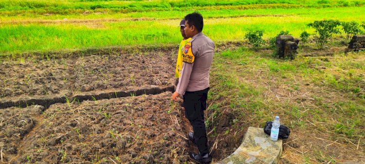 Anggota Polsek Krembung Tinjau Kesuburan Lahan Pertanian Dukung Program Ketahanan Pangan Nasional