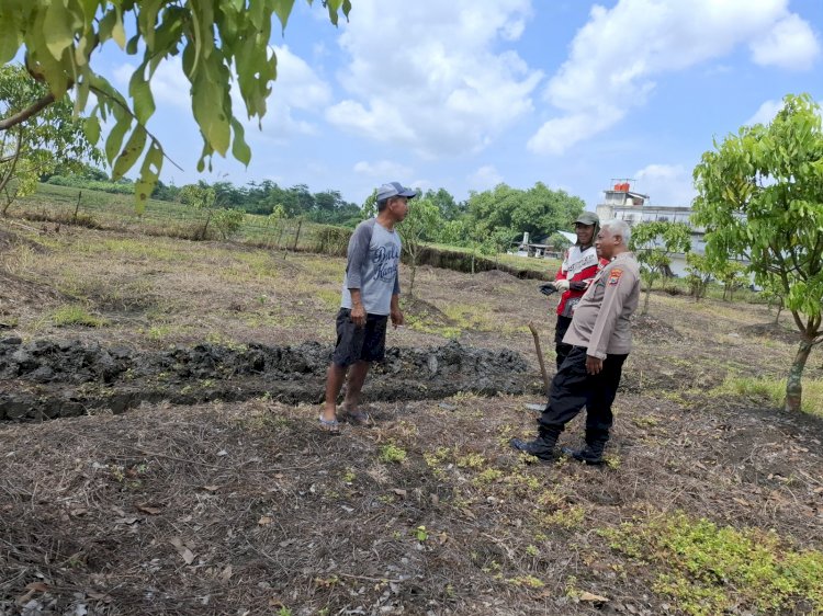 Bhabinkamtibmas Apresiasi Budidaya Buah Kelengkeng Warga Simoketawang