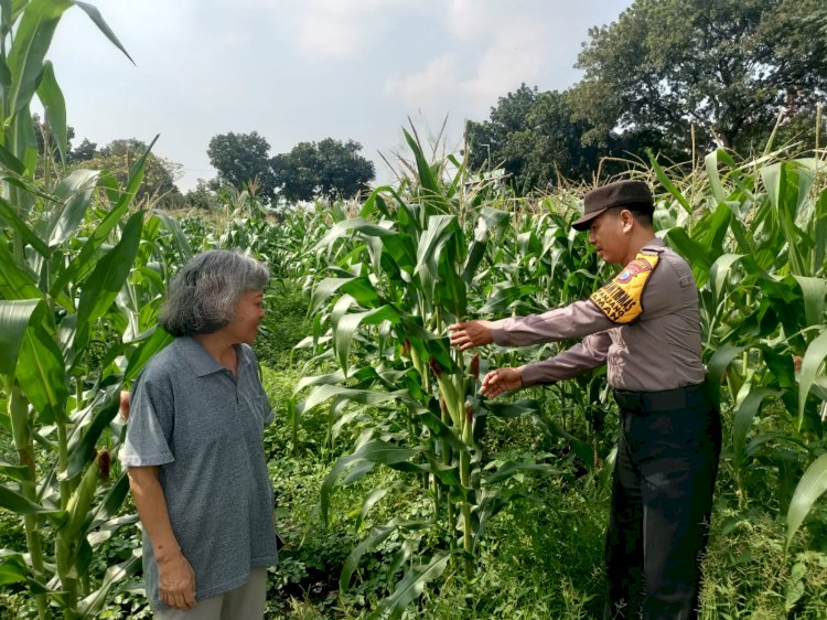 Warga Sepanjang Dukung Ketahanan Pangan Polresta Sidoarjo, Polisi Beri Apresiasi dan Edukasi