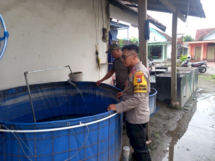 Budidaya Ikan Koi Topang Ketahanan Pangan Desa Rejeni