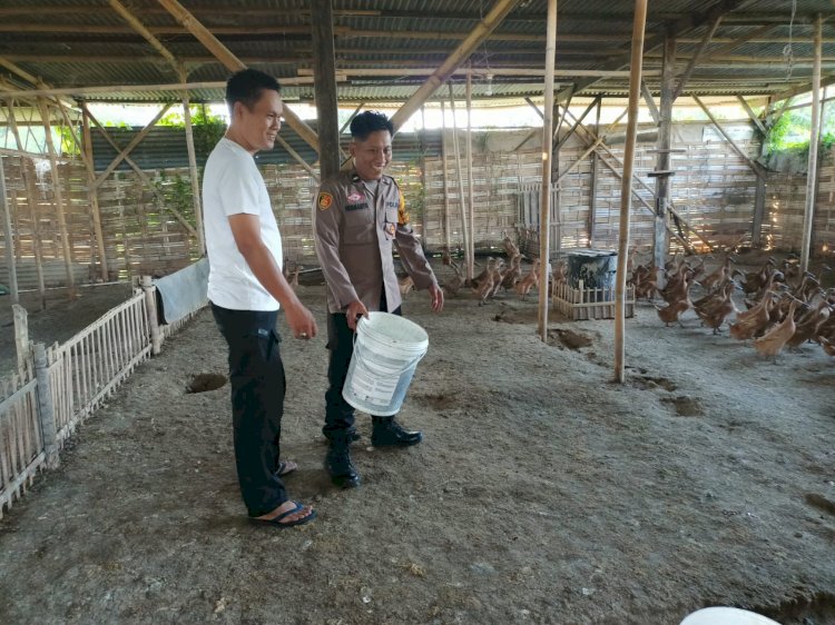 Bhabinkamtibmas Buduran Dampingi Peternak Bebek Wujudkan Ketahanan Pangan