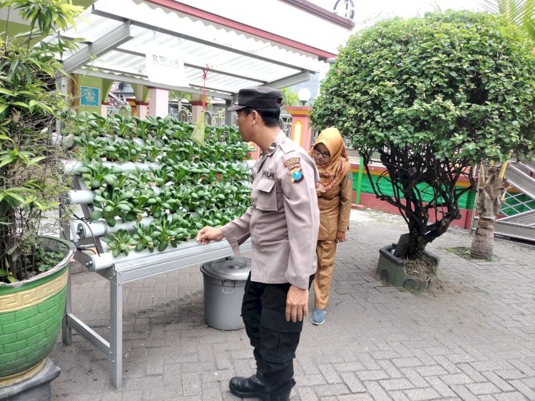 Bhabinkamtibmas Tenggulunan Polsek Candi Cek Ketahanan Pangan Melalui Program Hidroponik P2B