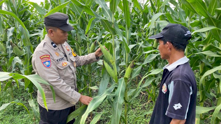 Bhabinkamtibmas Desa Bakung Temenggungan Masifkan Program Ketahanan Pangan Polresta Sidoarjo