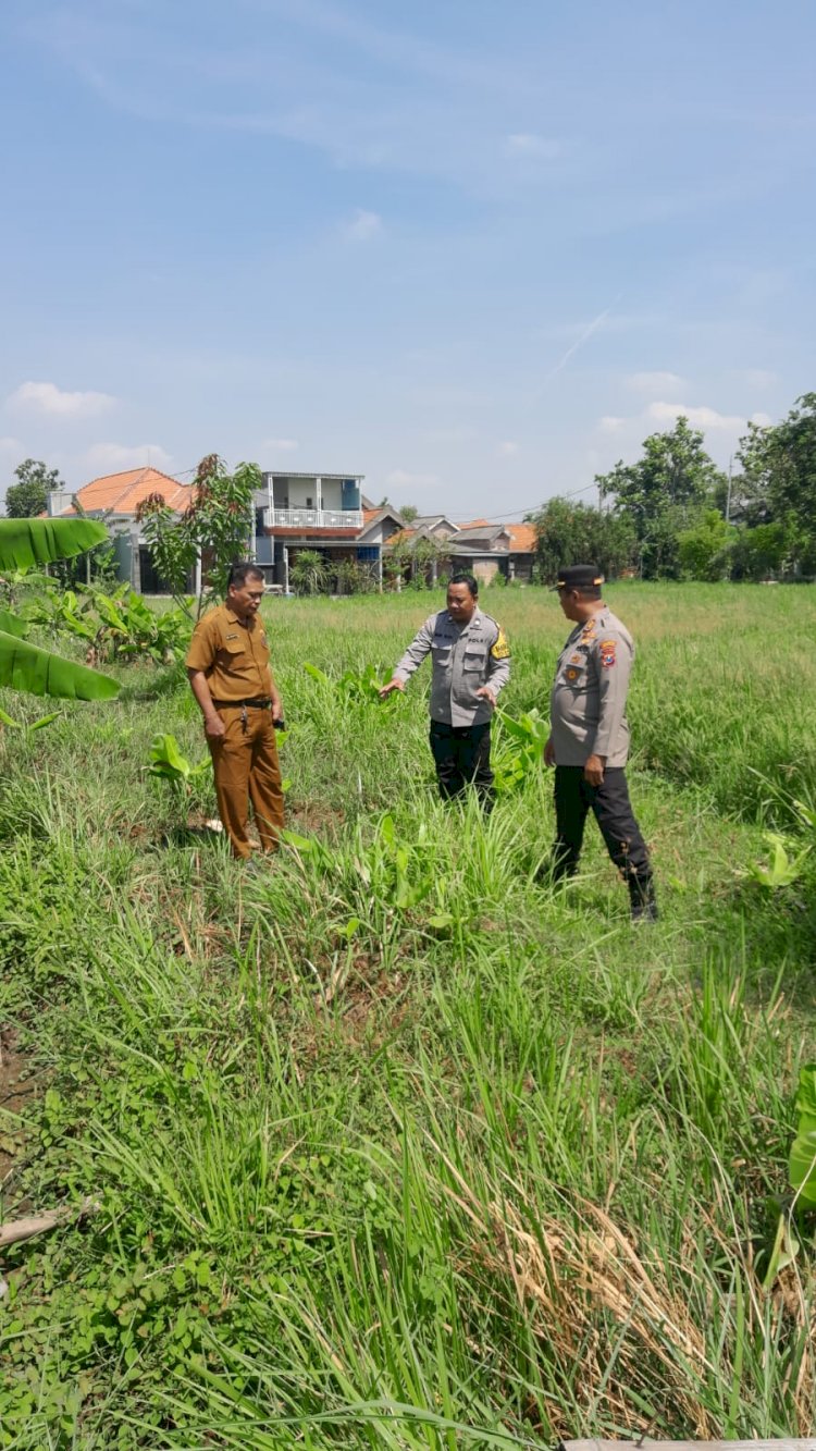 Kapolsek Sukodono Tinjau Lahan Bumdes Bangsri Dukung Program Ketahanan Pangan Nasional